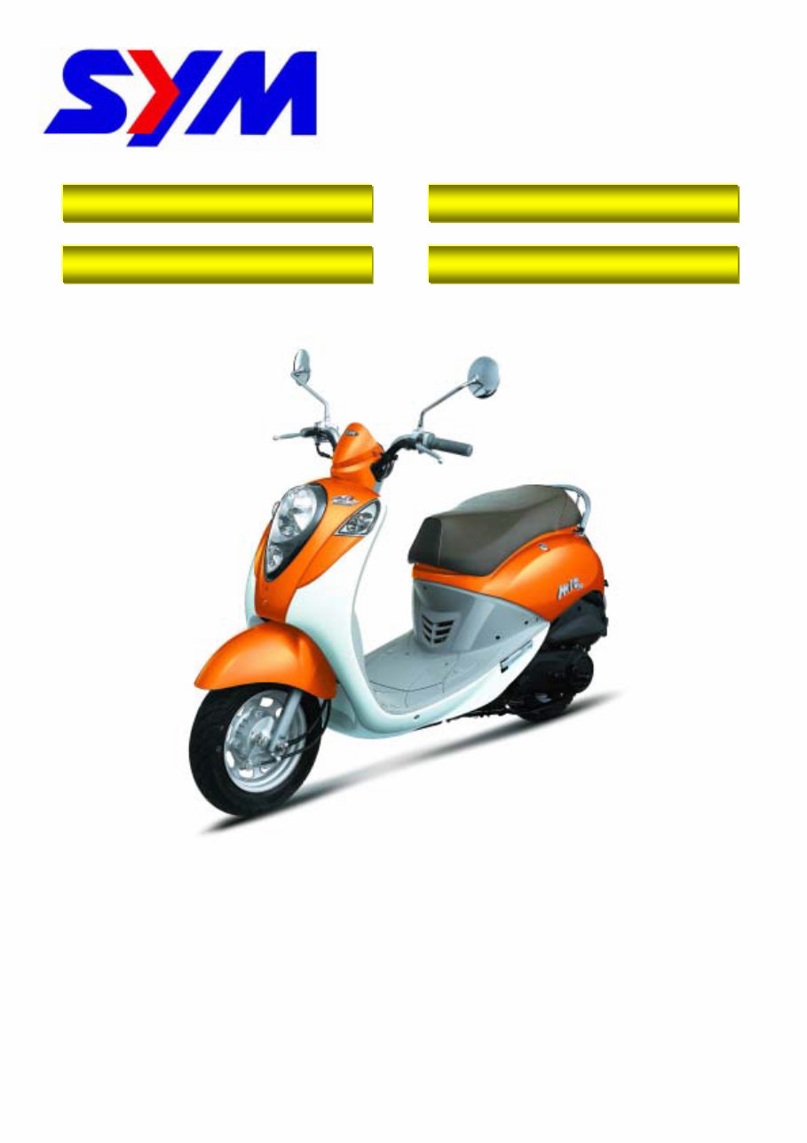 SYM Mio 50 Mio 100 Workshop Manual preview img 1
