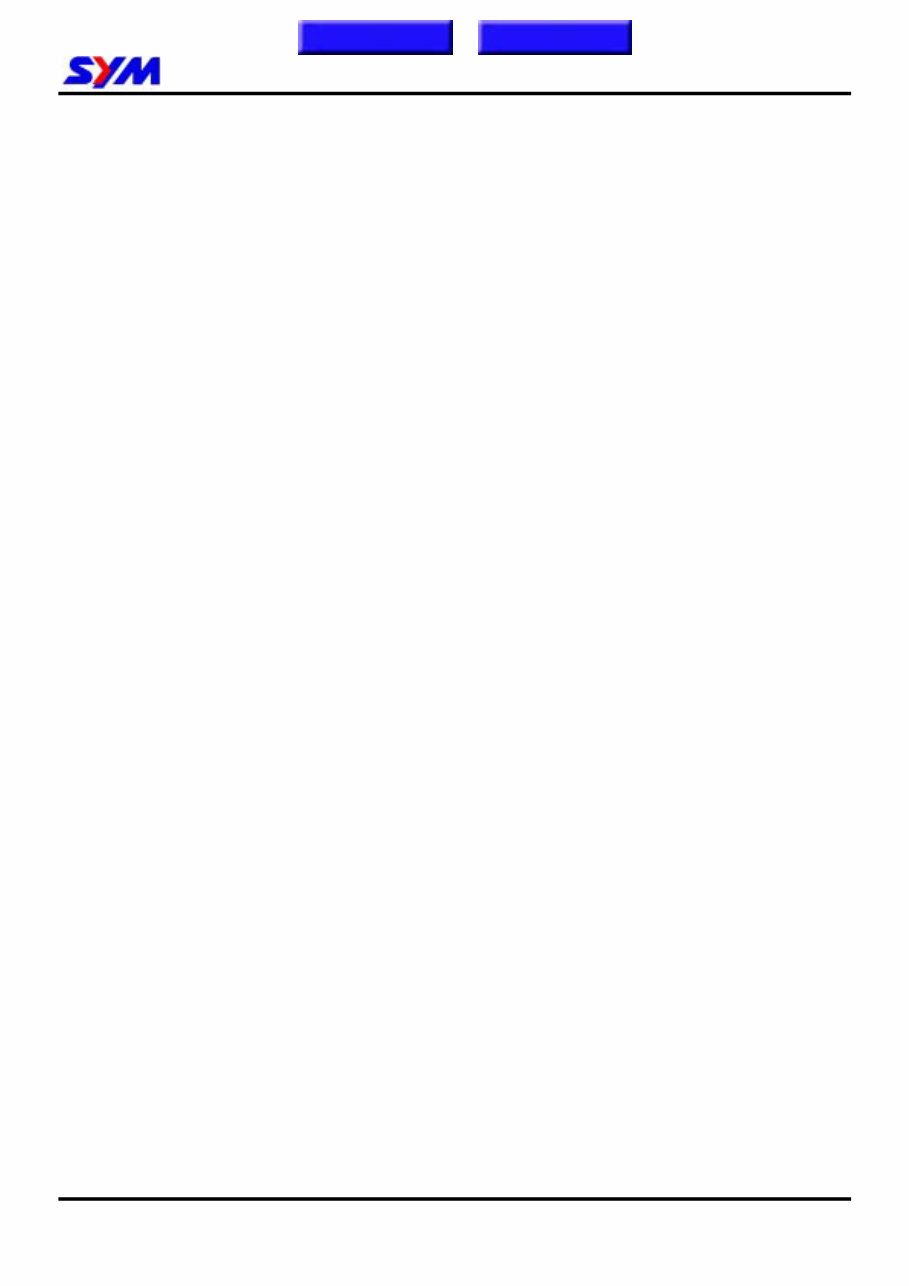 SYM Mio 50 Mio 100 Workshop Manual preview img 2