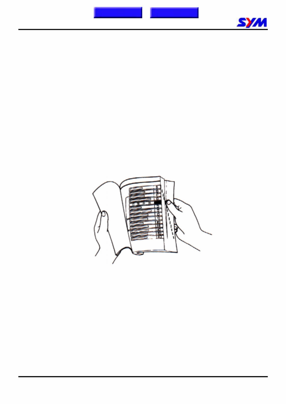 SYM Mio 50 Mio 100 Workshop Manual preview img 3