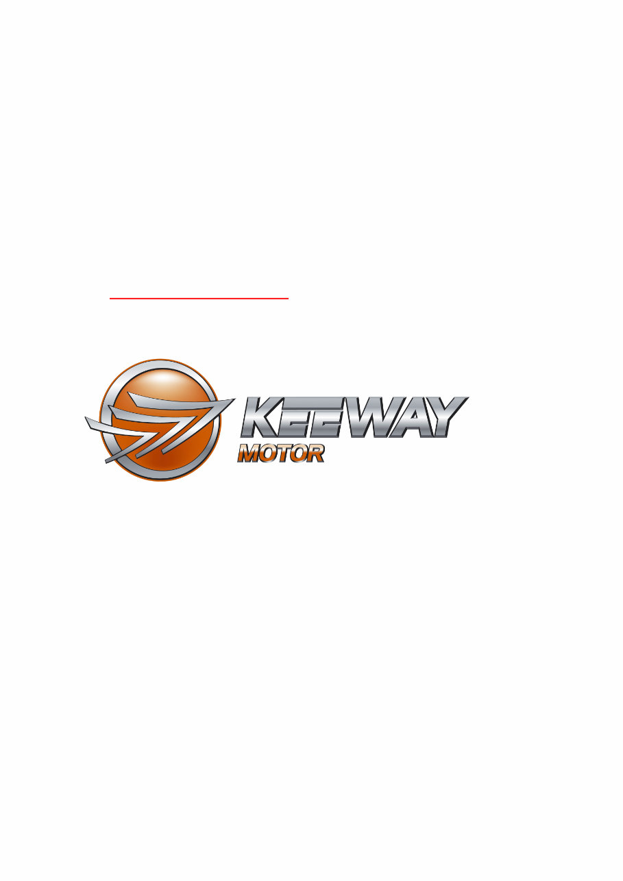 2006-2012 Keeway Focus 50 Matrix 50 Scooter Service & Repair Manual preview img 2