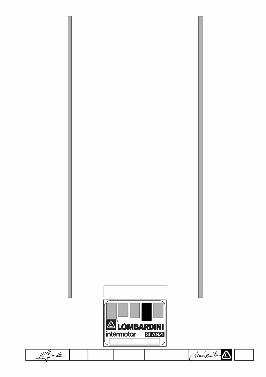 LOMBARDINI LDW 502 602,LDW 903,LDW 1204,LDW 1204T Workshop M preview img 1