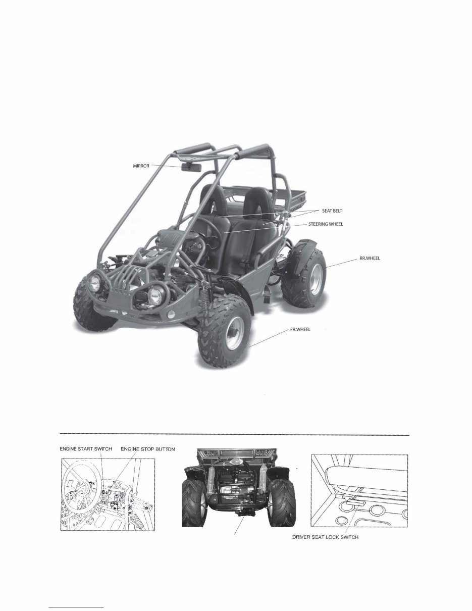MAXXAM 150 2R BUGGY KART Service Repair Manual preview img 8