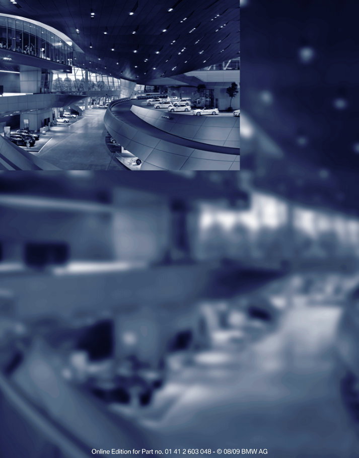 2010 BMW 335i Sedan Owners Manual preview img 10