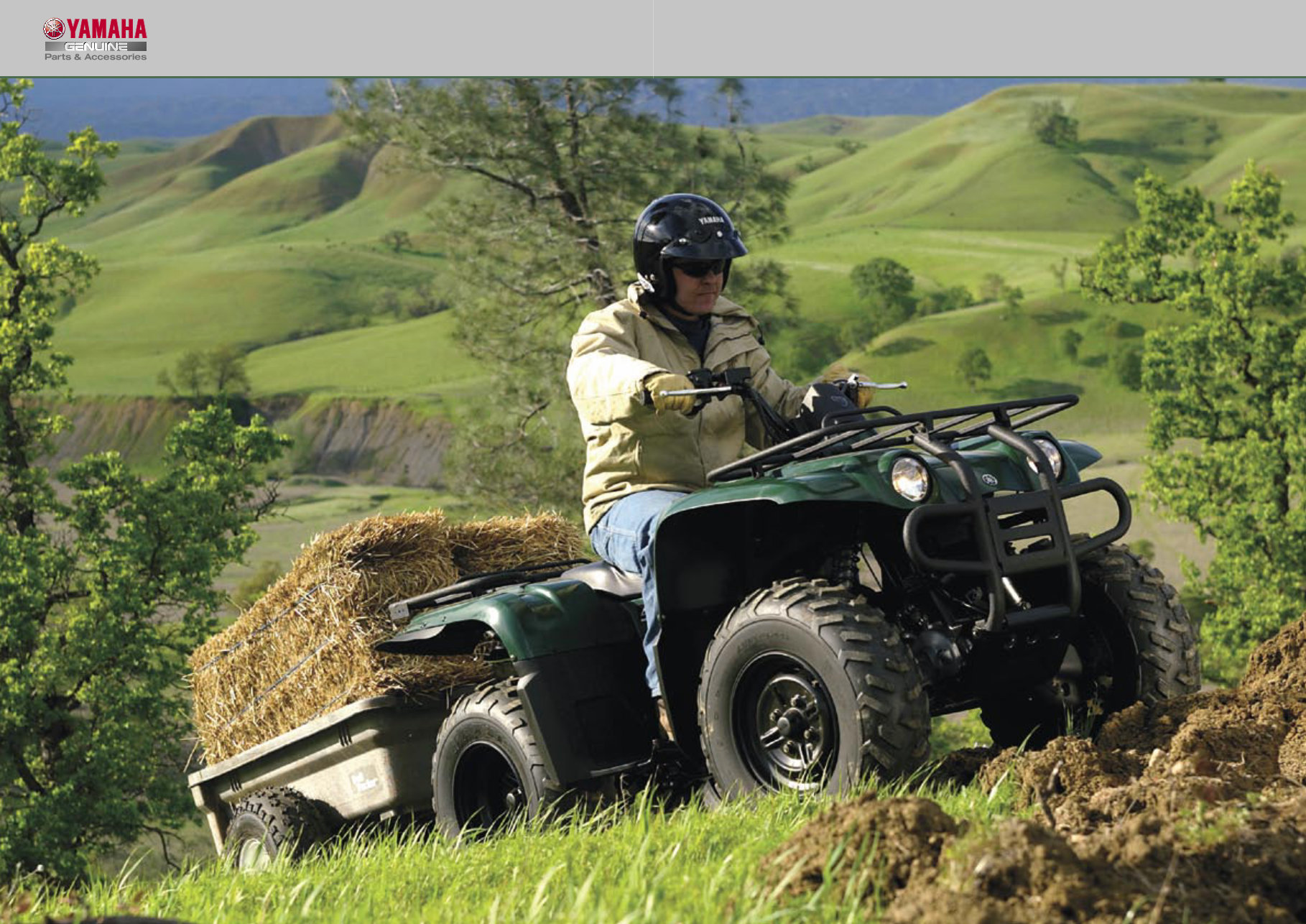 2004-2008 Yamaha Rhino 660 YXR660 Service Manual and Owners Manual 04-08 YXR 660 ATV Workshop Shop Repair Manual preview img 6