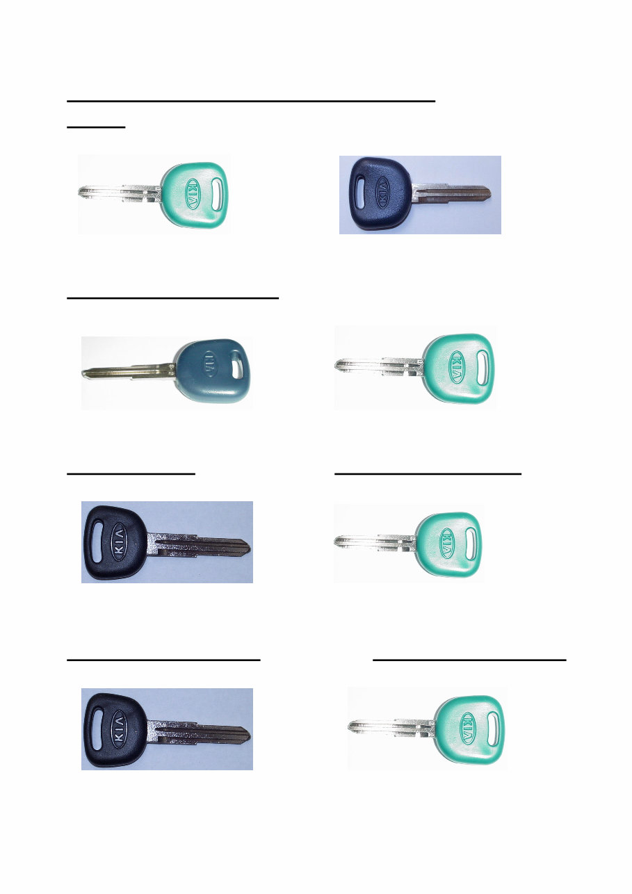KIA Texton Immobiliser Key Teaching Guide Manual preview img 2