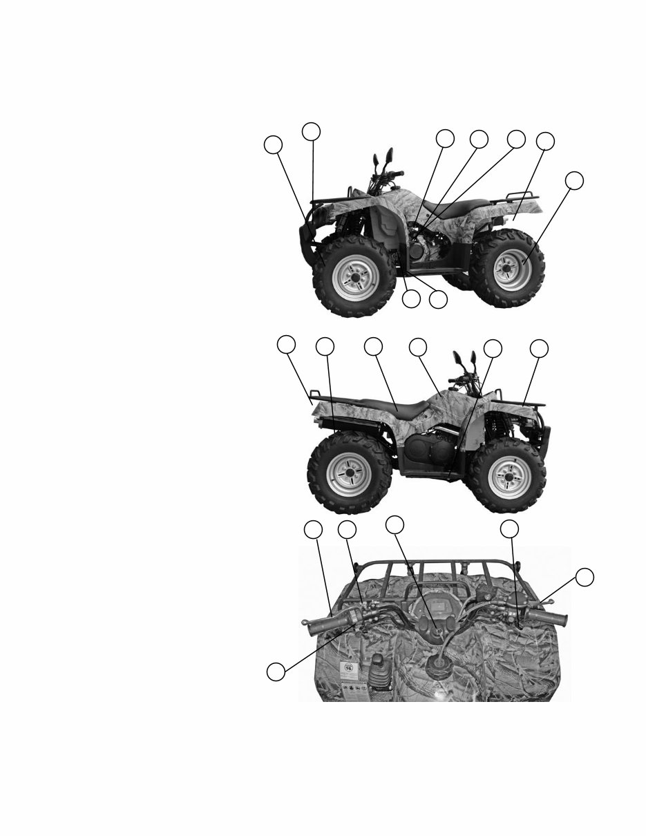 Baja Wilderness (WD400U) OEM Service & Repair Manual preview img 5