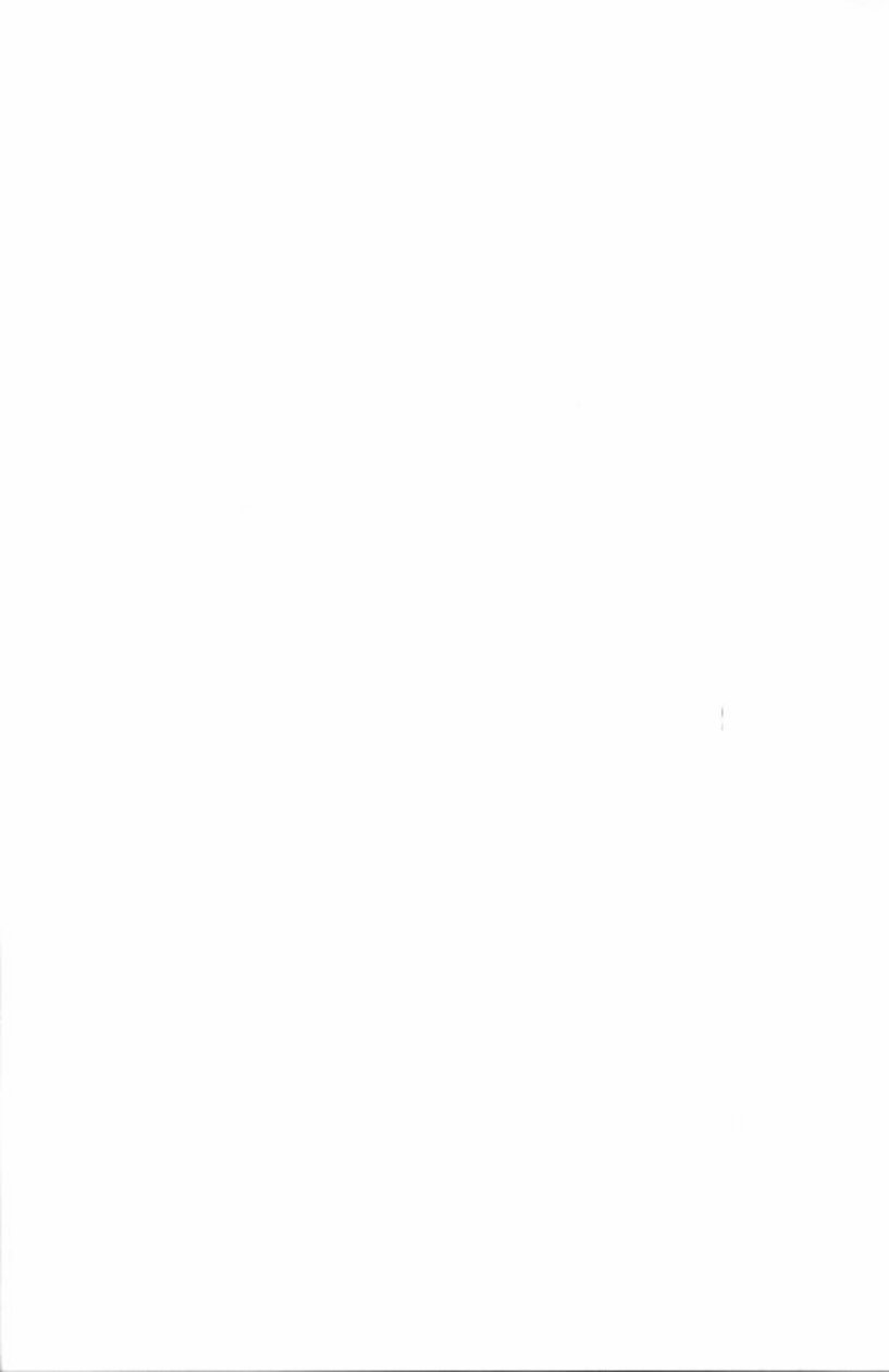 1970-1977 Mazda Capella Rx2 Service & Repair Manual preview img 3