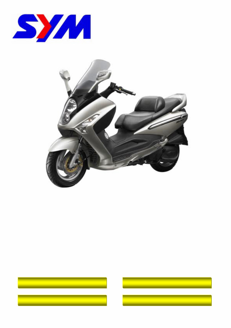 SYM RV250 GTS250 and Joymax 250 Service manual preview img 1
