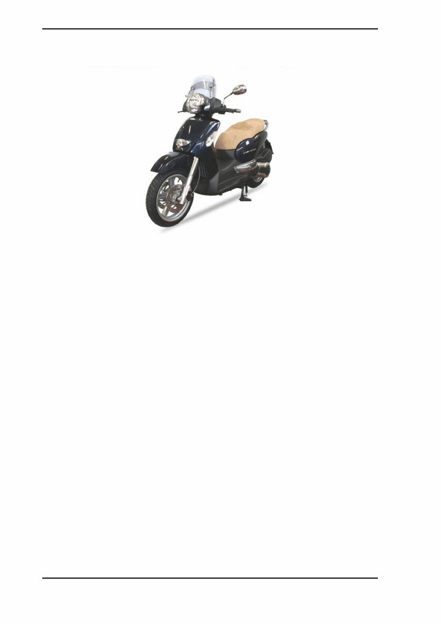 2006-2014 Aprilia Scarabeo 500 & Scarabeo 500i Service & Repair Manual preview img 4