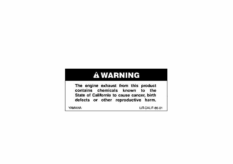 2004-2008 YAMAHA RAPTOR 50 / YFM50 Service Repair Manual (Highly Detailed FSM, Preview) preview img 2