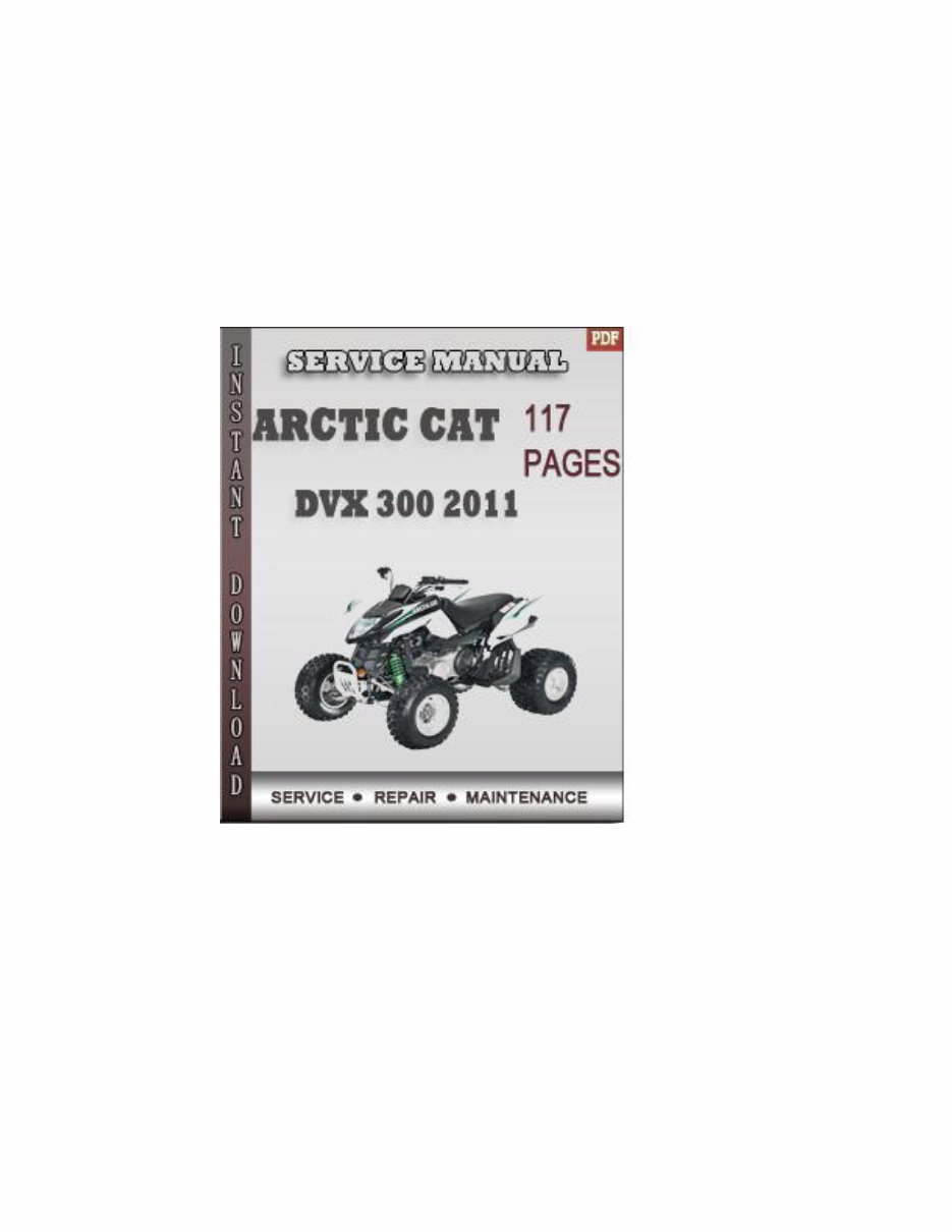  2012 Arctic Cat Utility 300/DVX 300 Repair Manual ATV preview img 1