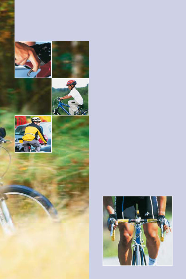 BIKE BICYCLE CYCLE Repair Maintenance Workshop Manual preview img 9