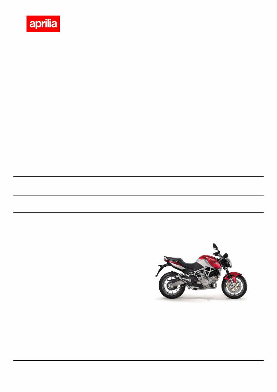 2010-2011 Aprilia Mana GT ABS Service & Repair Manual preview img 1