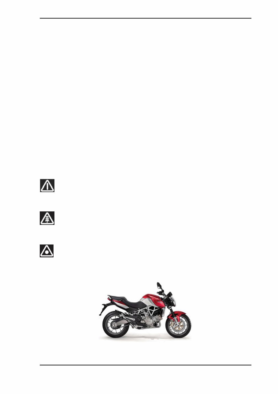 2010-2011 Aprilia Mana GT ABS Service & Repair Manual preview img 3