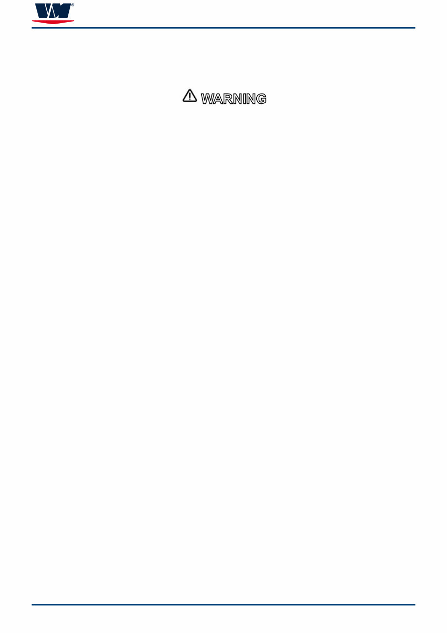 VM Motori R750 Series R754, R756 Diesel Engine Complete Workshop Service Repair Manual preview img 8
