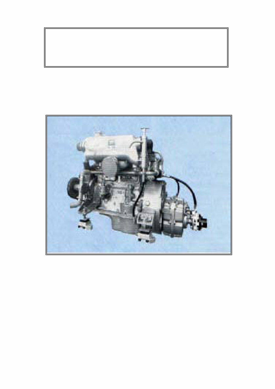 BMC 1500L Diesel Engine Workshop Manual preview img 1