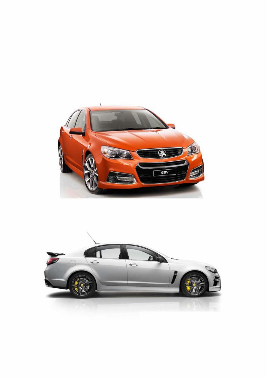 2013-2017 Holden Commodore (VF), Caprice (WN) Service & Repair Manual preview img 1