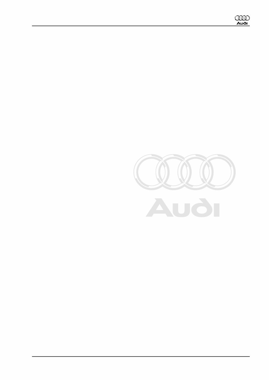 2008-2010 Audi A6 C6 Service & Repair Manual preview img 5