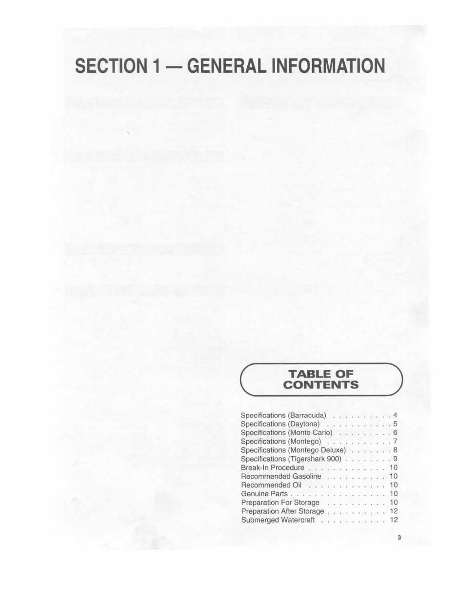 1995 TIGERSHARK DAYTONA Factory Service & Work Shop Manual preview img 3