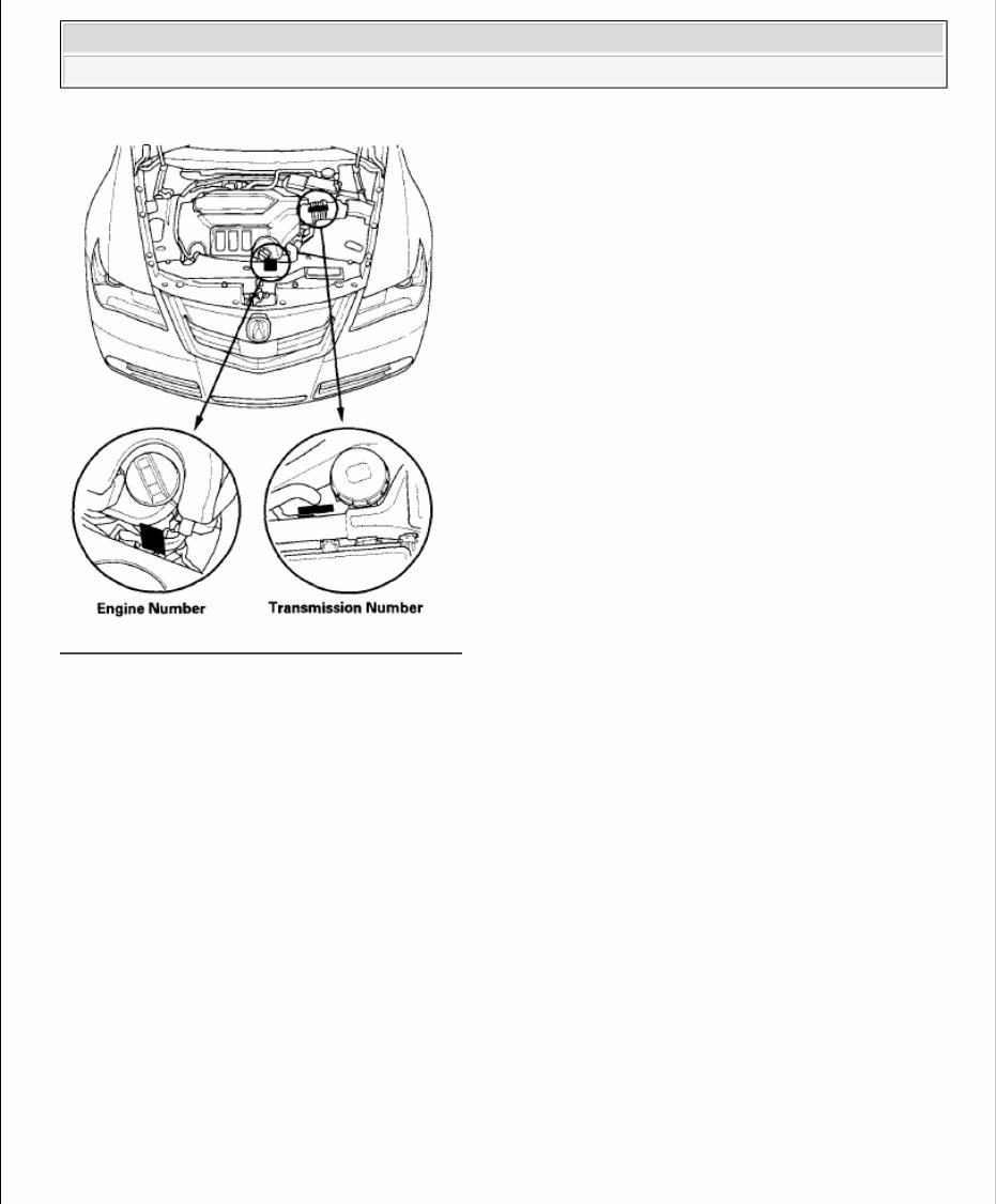 2011 Acura RL Service & Repair Manual Software preview img 6