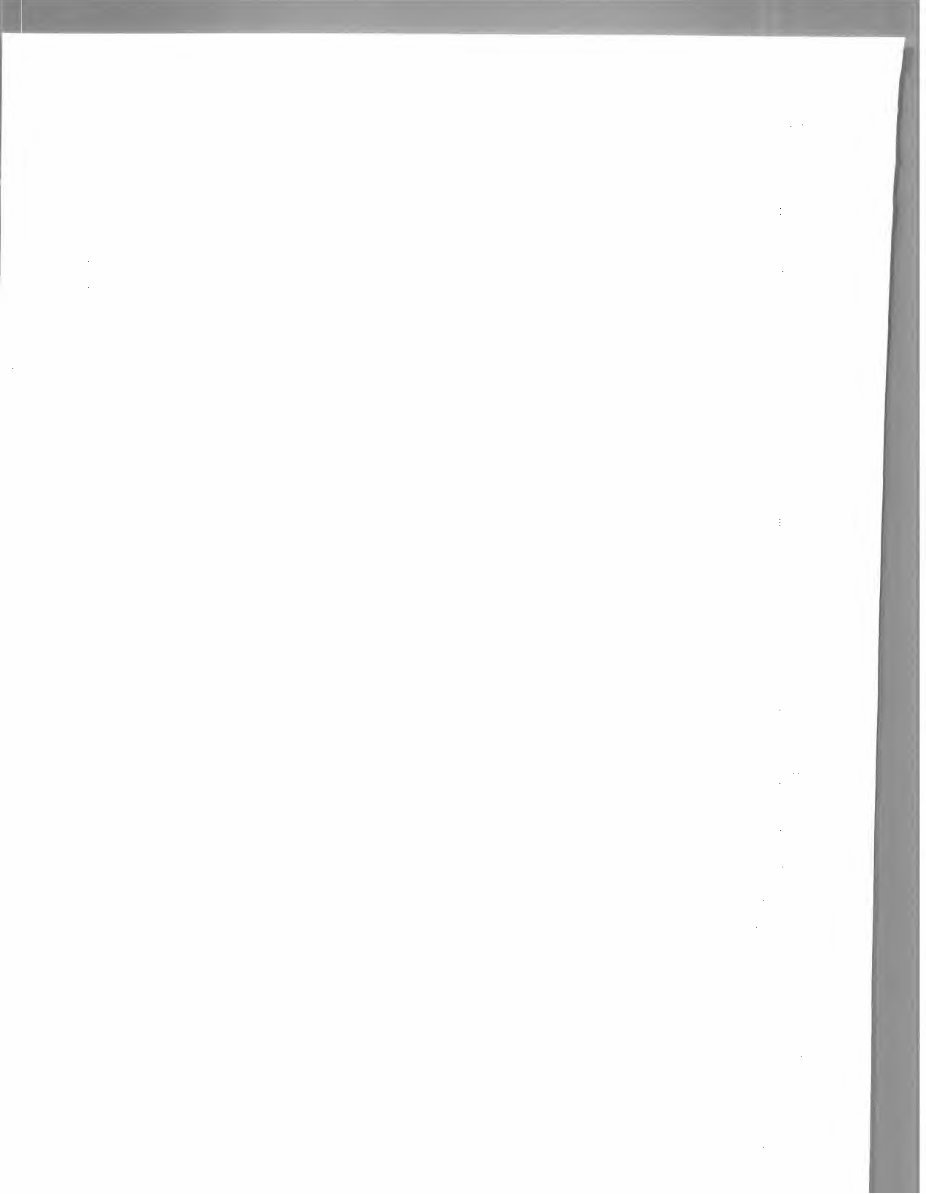 2005-2007 BMW 5 Series 525xi Service & Repair Manual preview img 5