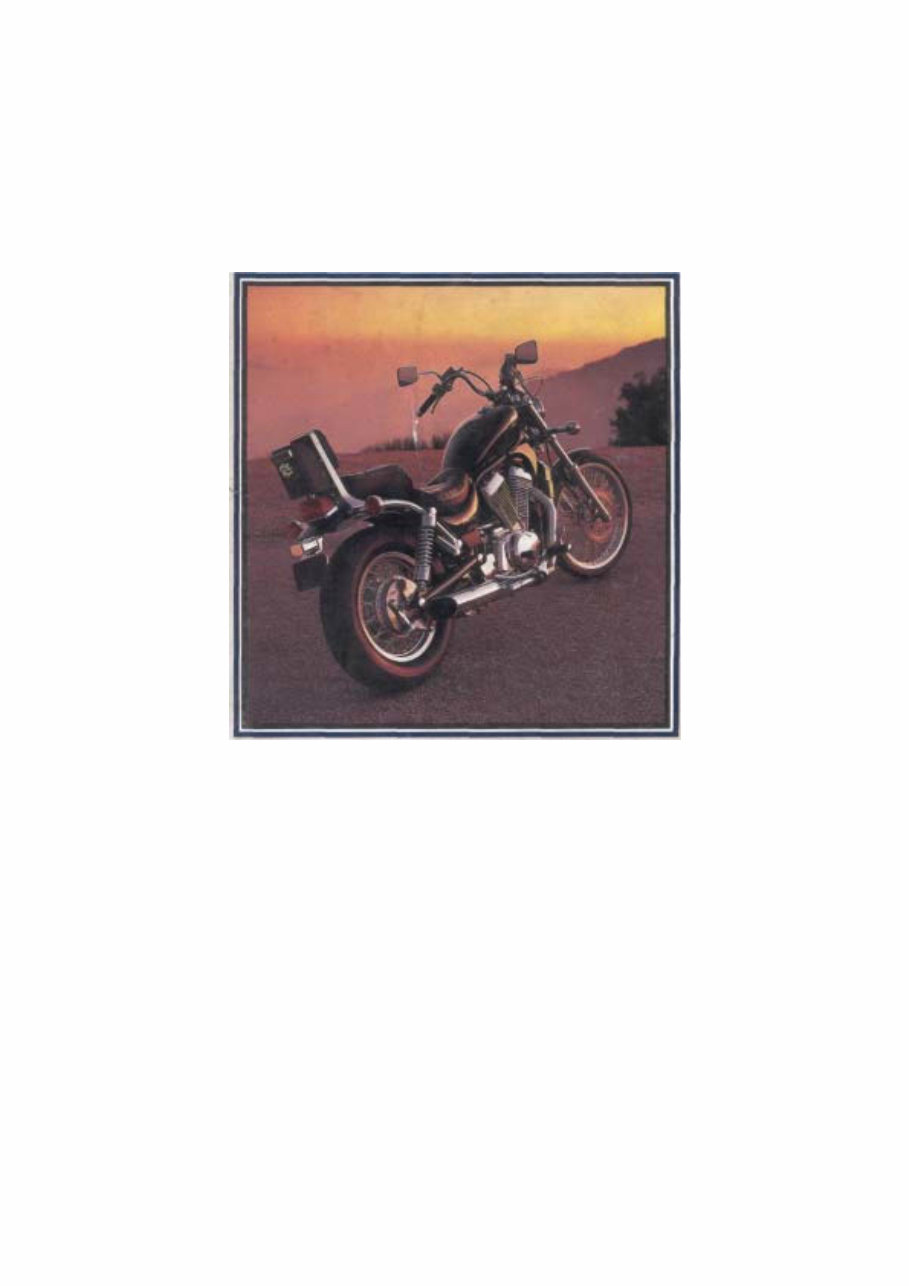 1995 Suzuki Intruder VS700 VS800 Service & Repair Manual preview img 1