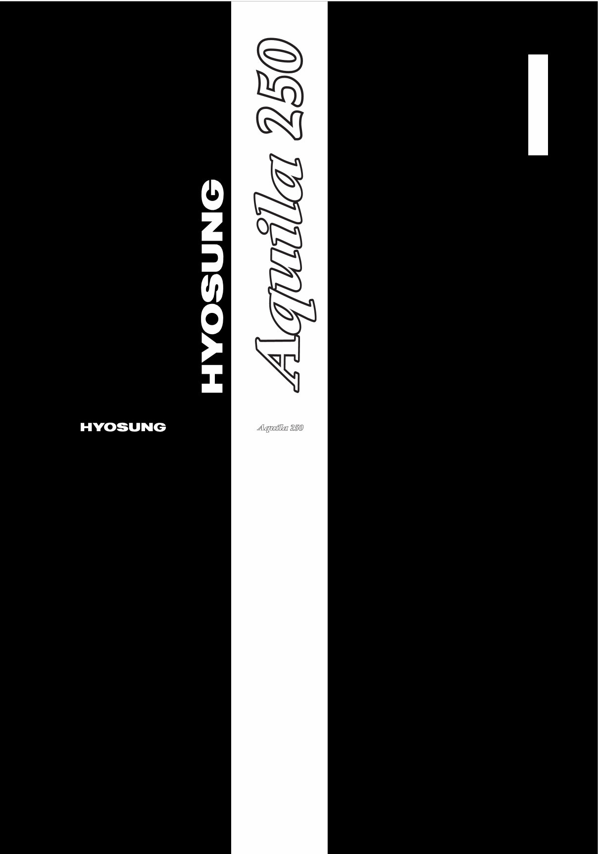 HYOSUNG Aquila GV 250 Motorcycle Workshop Manual / Repair Manual / Service Manual access preview img 1