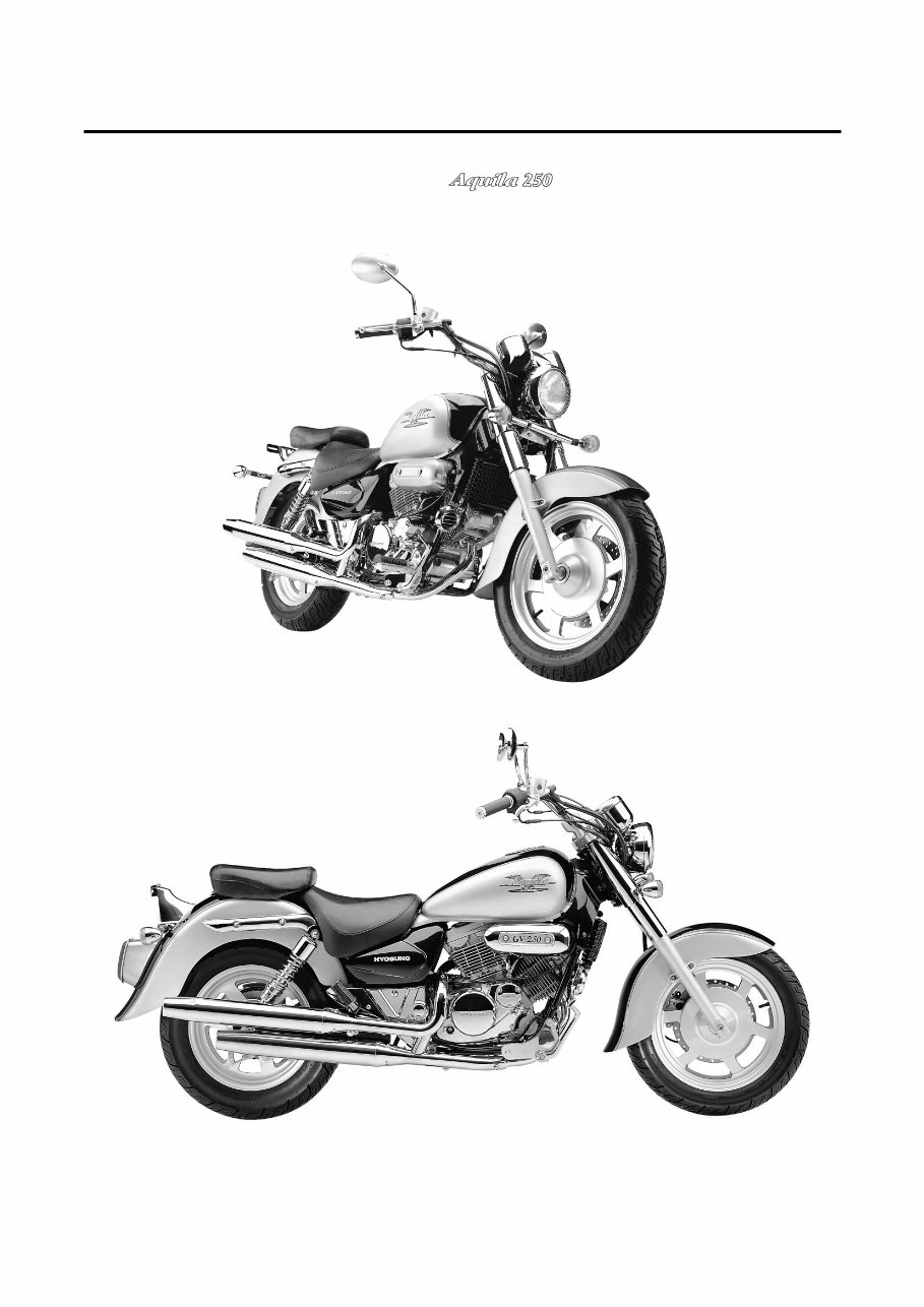 HYOSUNG Aquila GV 250 Motorcycle Workshop Manual / Repair Manual / Service Manual access preview img 9