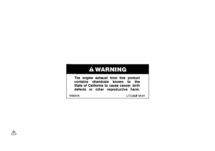 2009-2011 Yamaha FZ6R Service & Repair Manual preview img 2