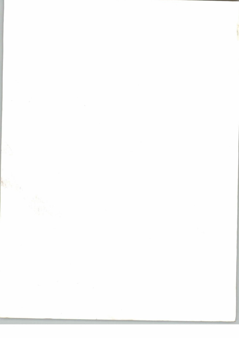 2008 Can-Am DS 450 EFI, DS 450 EFI X, DS450 Service & Repair Manual preview img 2