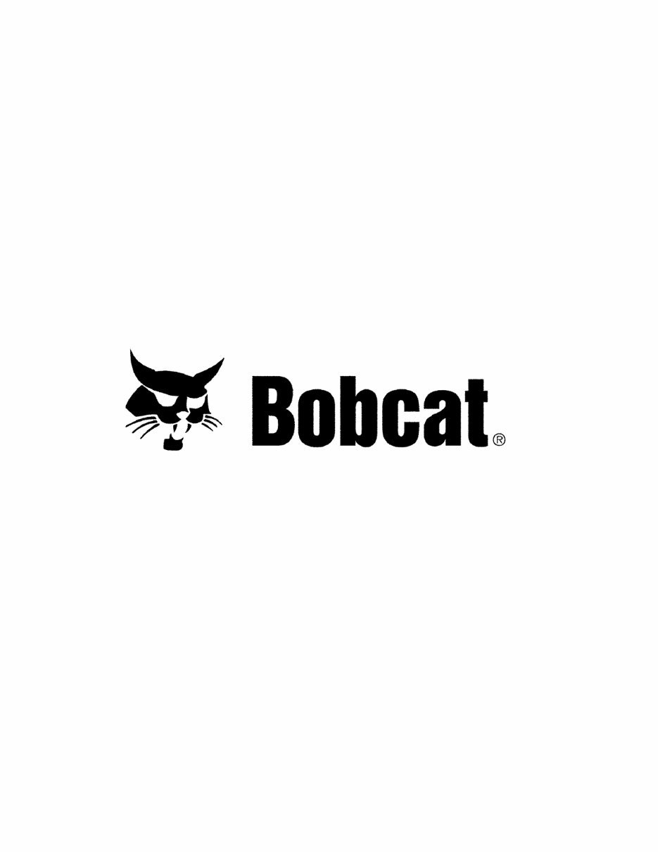 Bobcat 337 AAC811001+ Factory Service & Work Shop Manual preview img 8