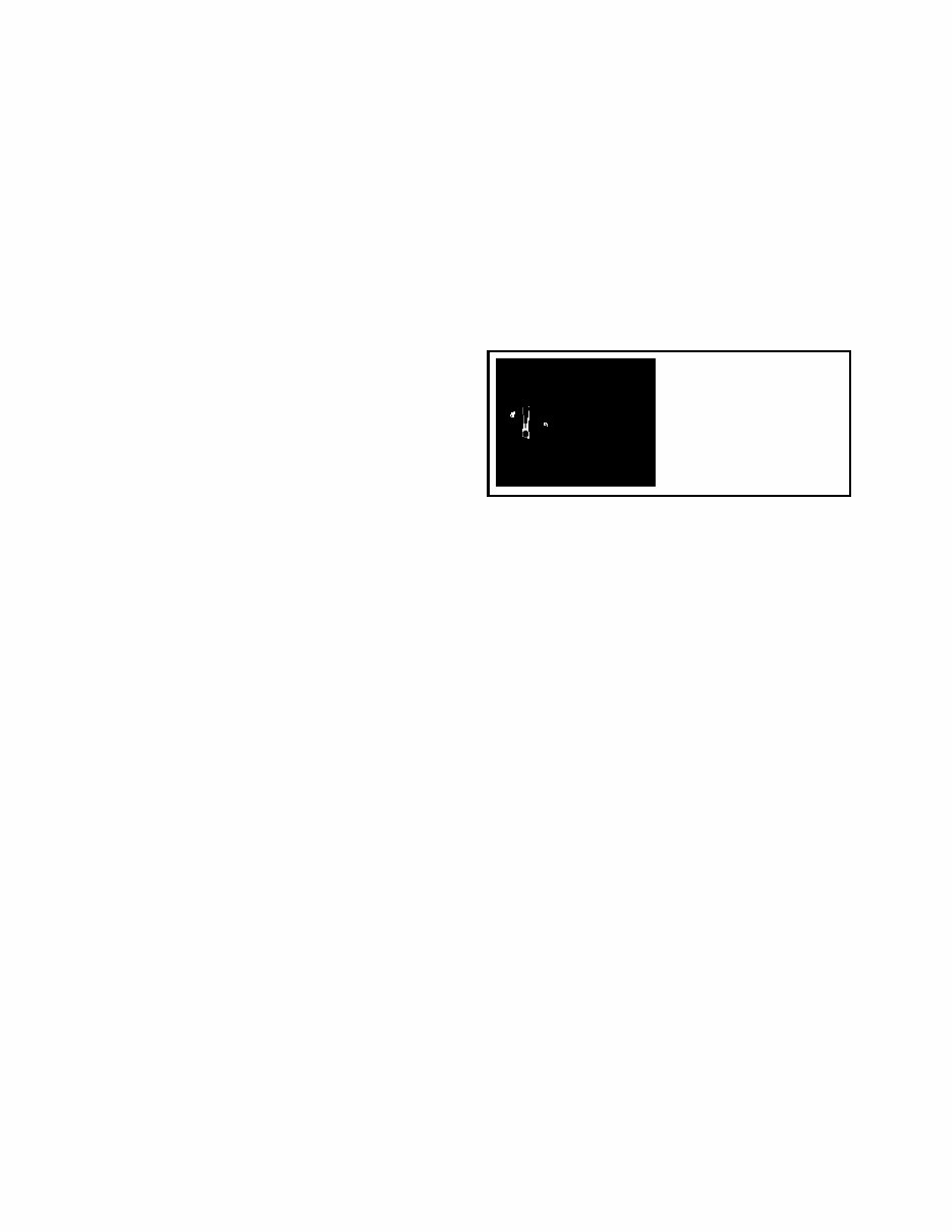 Thomas T225, T243 HDS, T245 HDS, T245 HDK, Protough 2200 Skid Steer Loader Service Repair Workshop Manual preview img 3