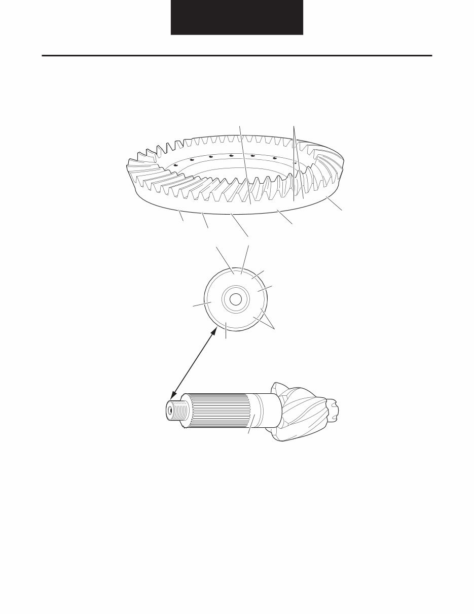DANA Spicer Single Drive Axles Service Manual preview img 6