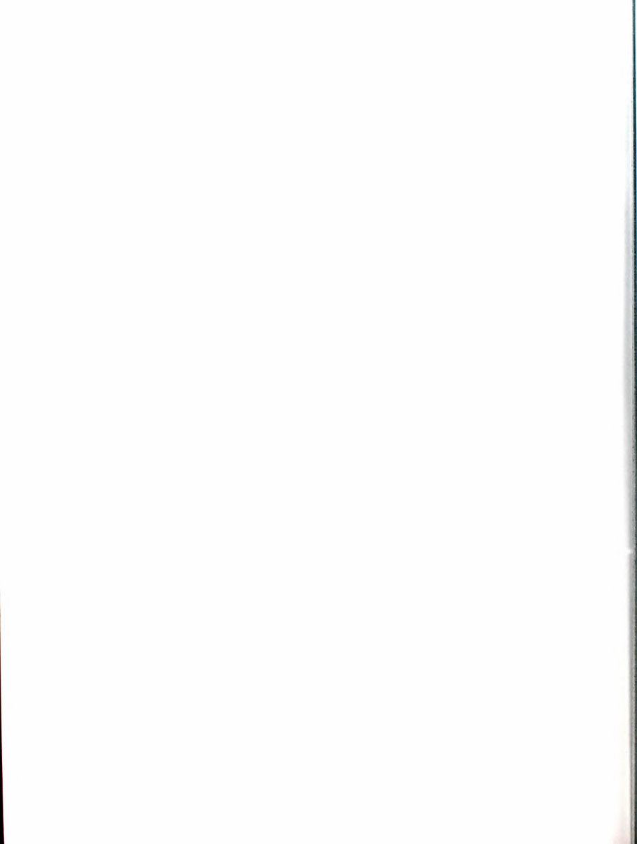 CUMMINS QSM11 QSM 11 Operation Service Repair Manual preview img 2