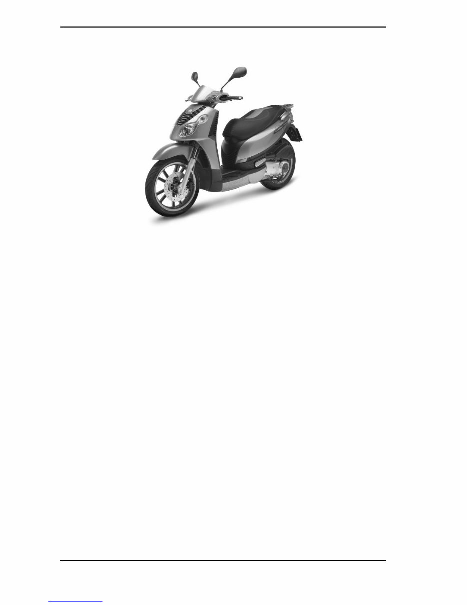 Piaggio Carnaby 125 - 200 Workshop Service Repair Manual preview img 4
