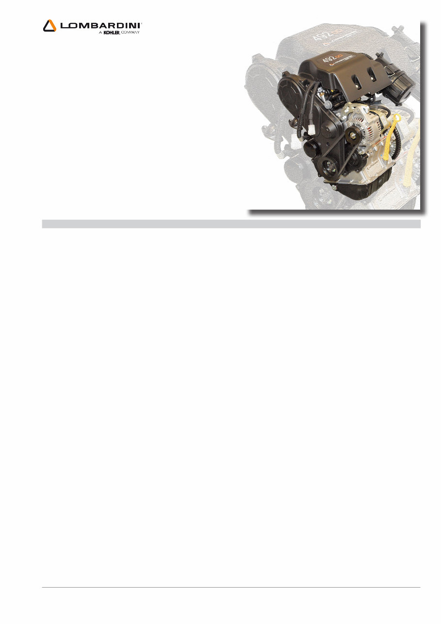 Lombardini LDW 492 DCI Engine OEM Service & Repair Manual preview img 3