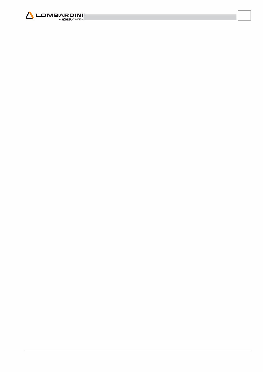 Lombardini LDW 492 DCI Engine OEM Service & Repair Manual preview img 5