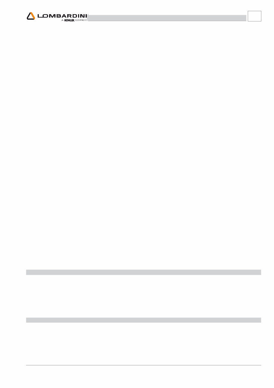 Lombardini LDW 492 DCI Engine OEM Service & Repair Manual preview img 9