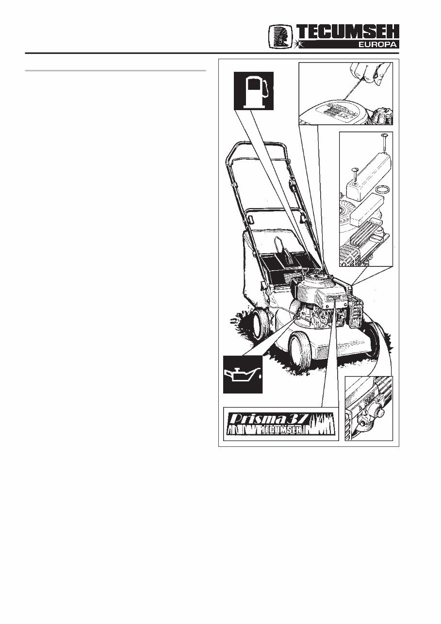 Tecumseh Europa engine service repair manual preview img 3