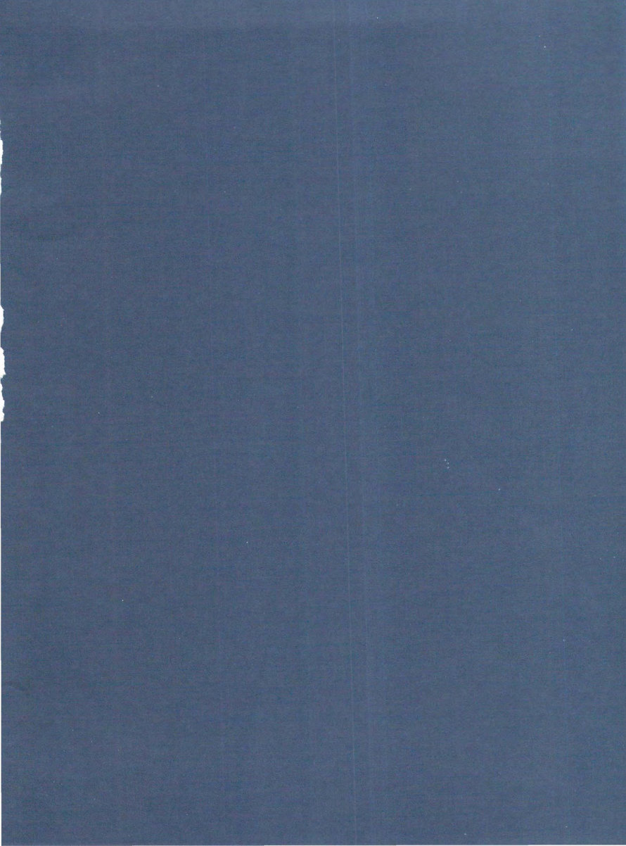 Car Care Manual preview img 3