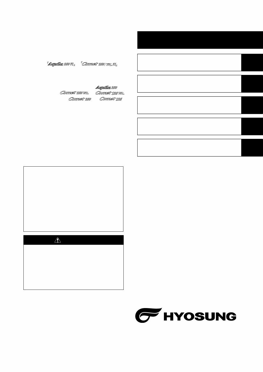 Hyosung Aquila 250 FI/Comet 250 FI/Comet 250R FI OEM Service & Repair Manual preview img 2