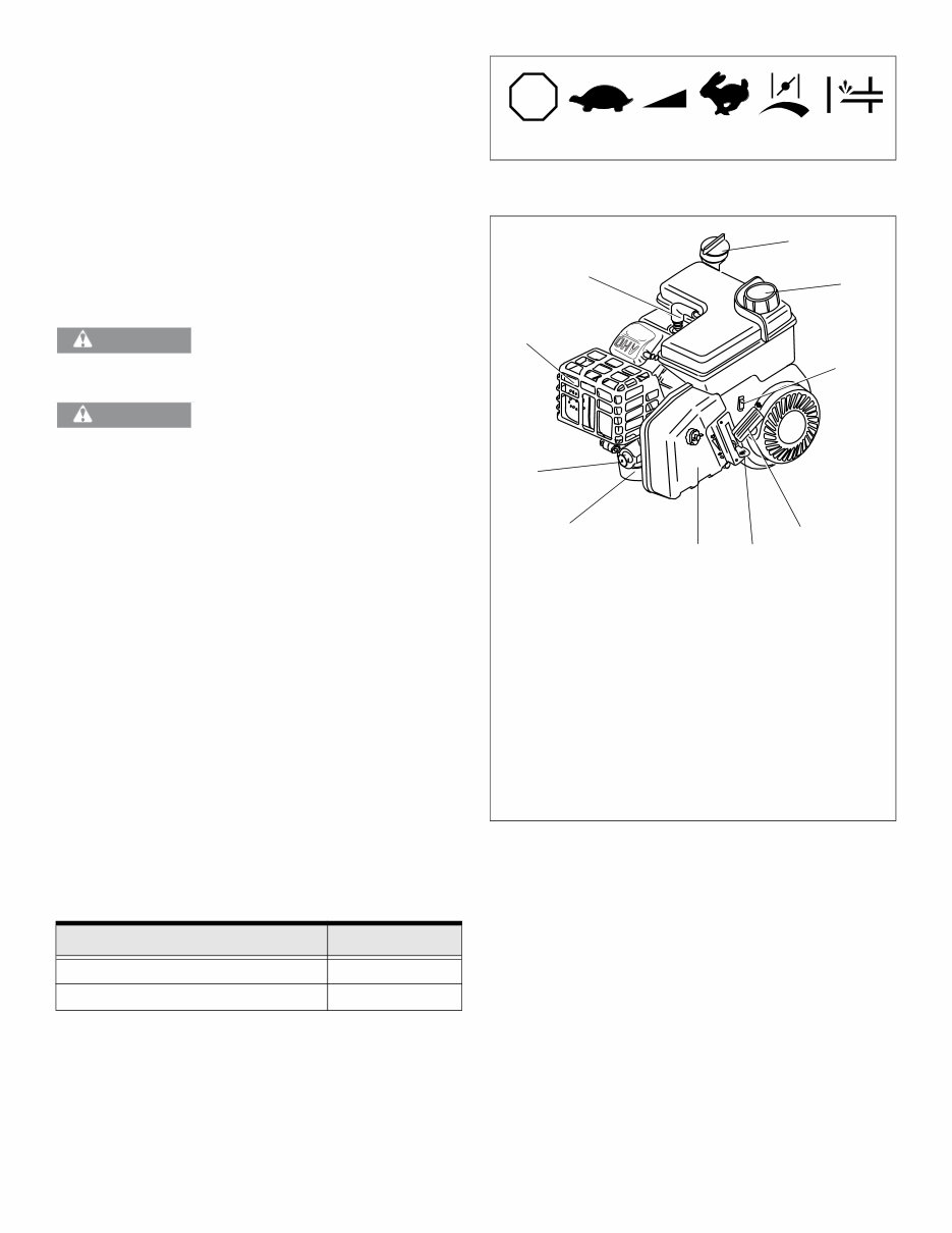 Tecumseh Engine (OH195EA/OH195XA) Manuals preview img 8