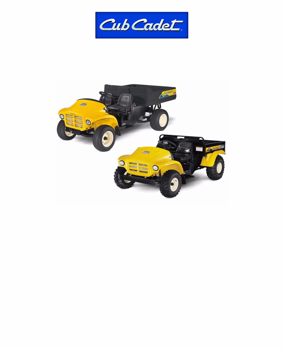 Cub Cadet 4x2 Utility Vehicle Poly Bed Steel Bed Service Repair Workshop Manual preview img 1