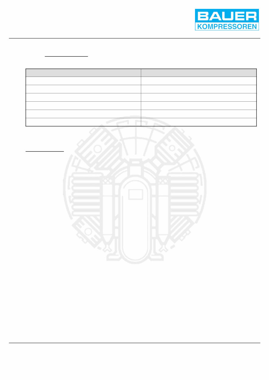 BAUER COMPRESSOR MASTER Workshop Manual preview img 9