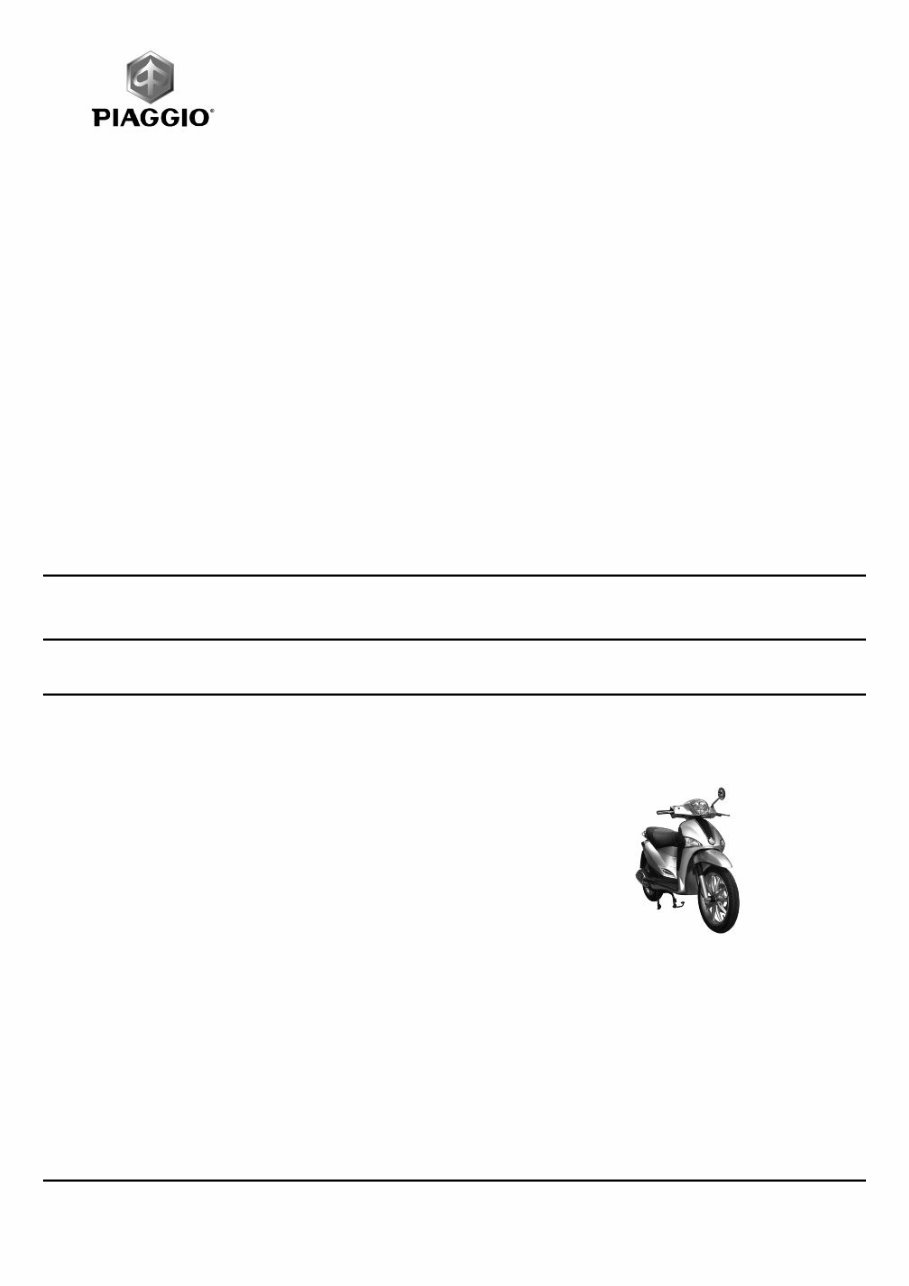 2009 Piaggio Liberty 125-250 OEM Service & Repair Manual preview img 1