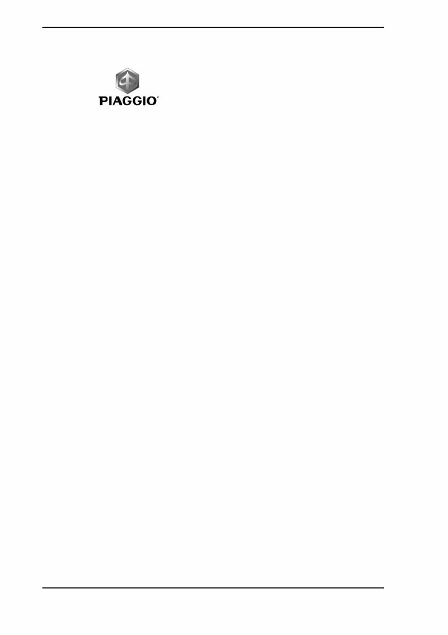 2009 Piaggio Liberty 125-250 OEM Service & Repair Manual preview img 2