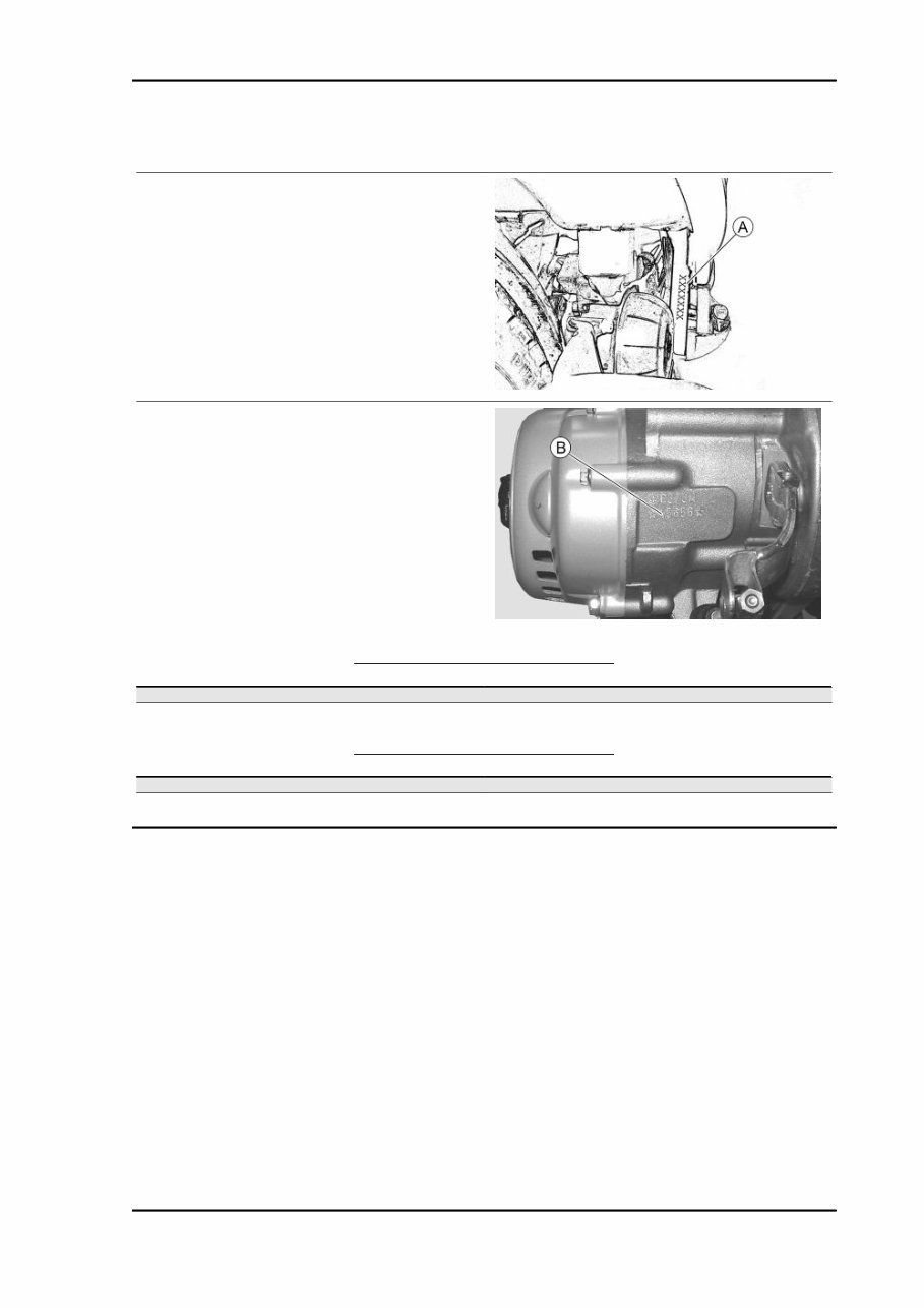 2009 Piaggio Liberty 125-250 OEM Service & Repair Manual preview img 7