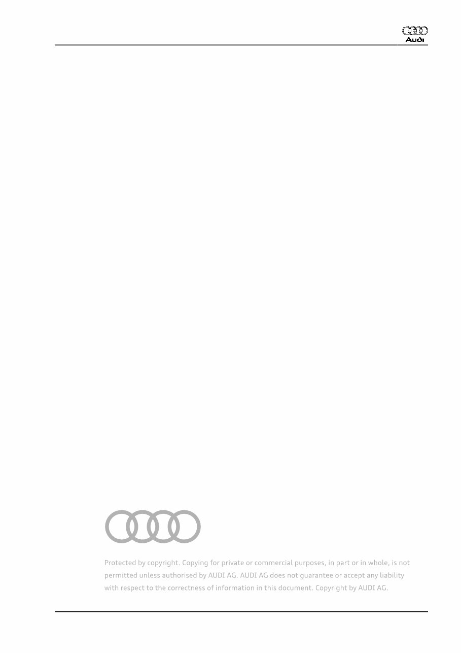 2010 Audi Q5 Service & Repair Manual Software preview img 9