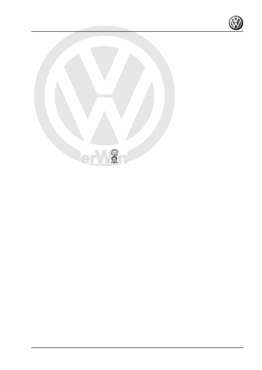 2019 Volkswagen Golf GTI Download Service & Repair Manual preview img 3