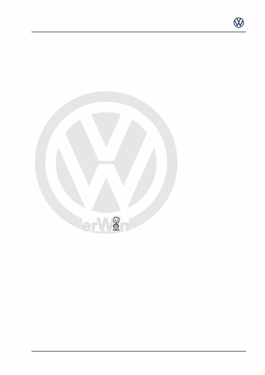 2010-2016 Volkswagen Transporter T5 Service & Repair Manual preview img 3